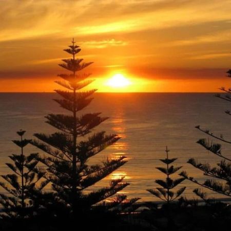 Acacia Holiday Or Business Stay - Quiet Location Perth Exteriör bild