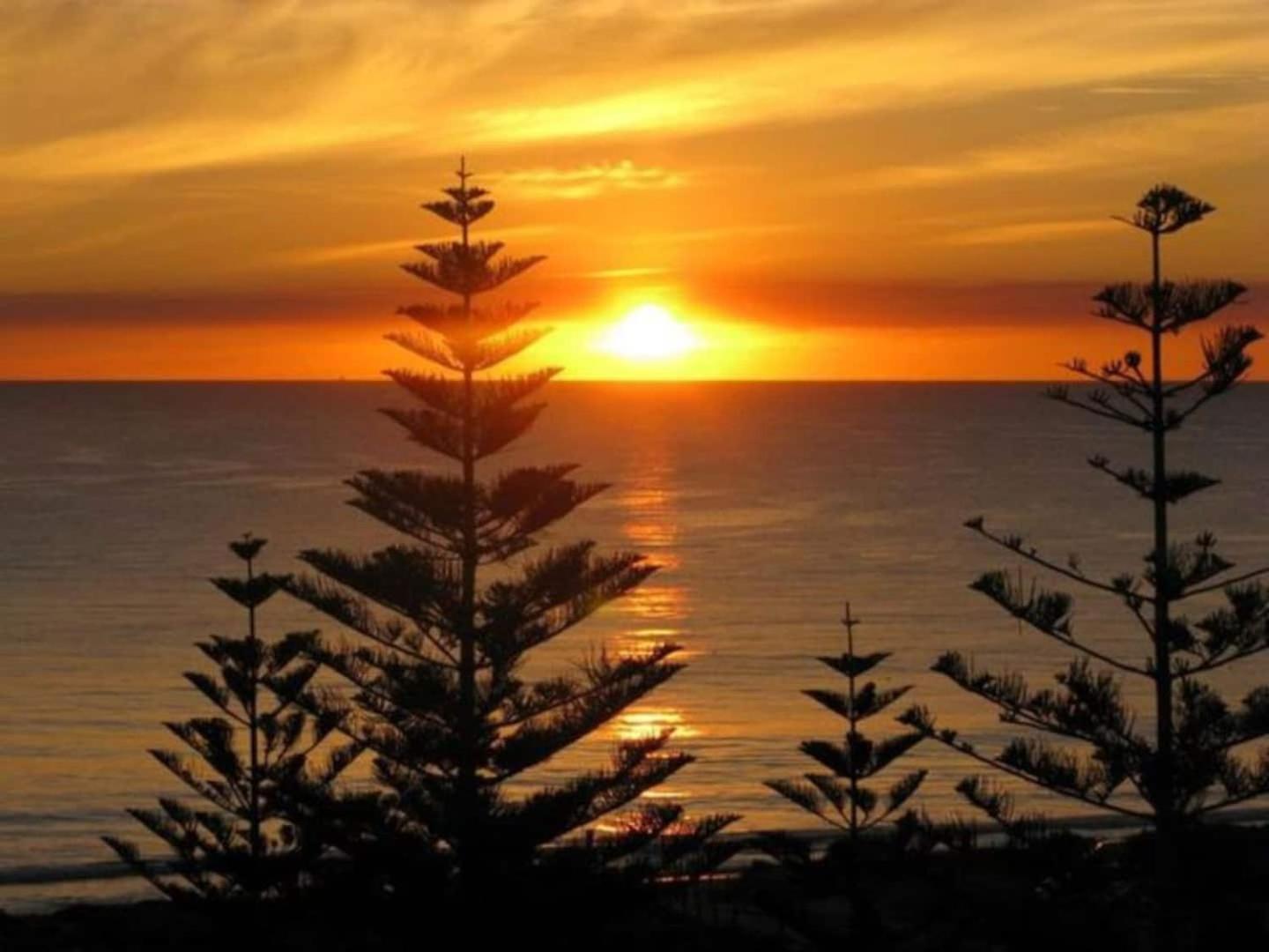 Acacia Holiday Or Business Stay - Quiet Location Perth Exteriör bild